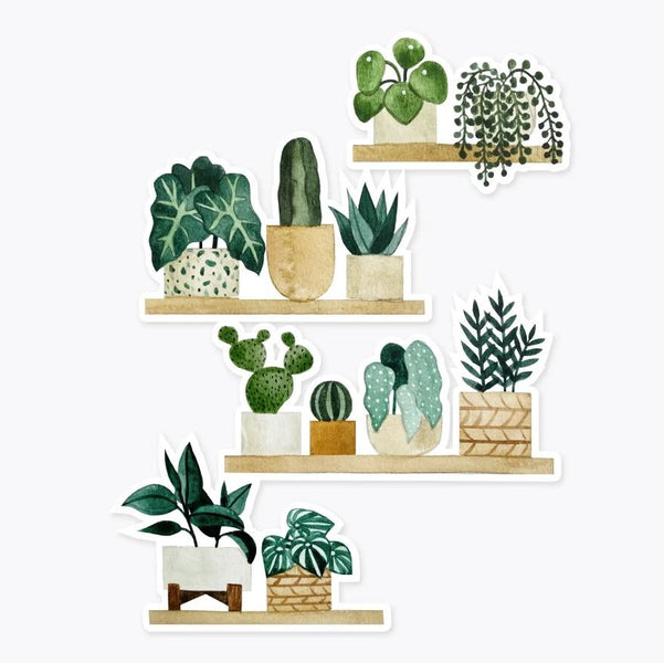 Oregon Succulent Shelf on sale